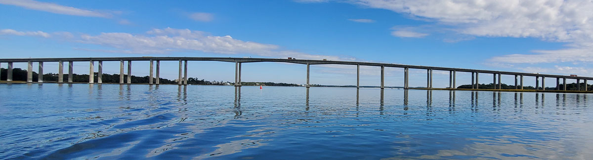 Interstate 526 bridge over Wando River