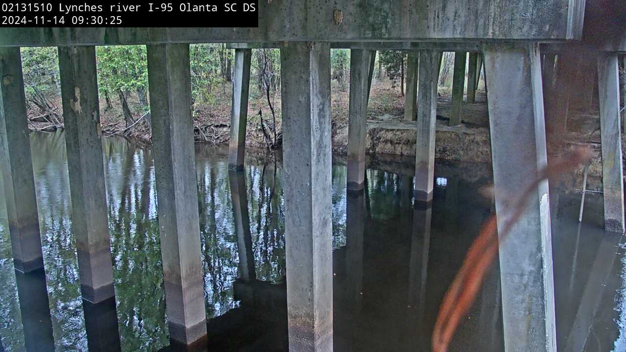 View of the river from under a road bridge.