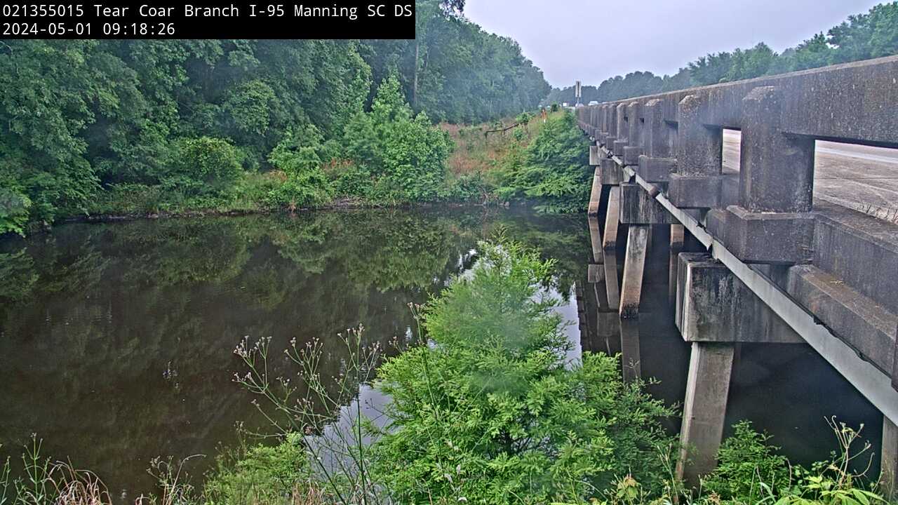 Live webcam video at Tearcoat Branch at I-95, near Manning, SC, Downstream