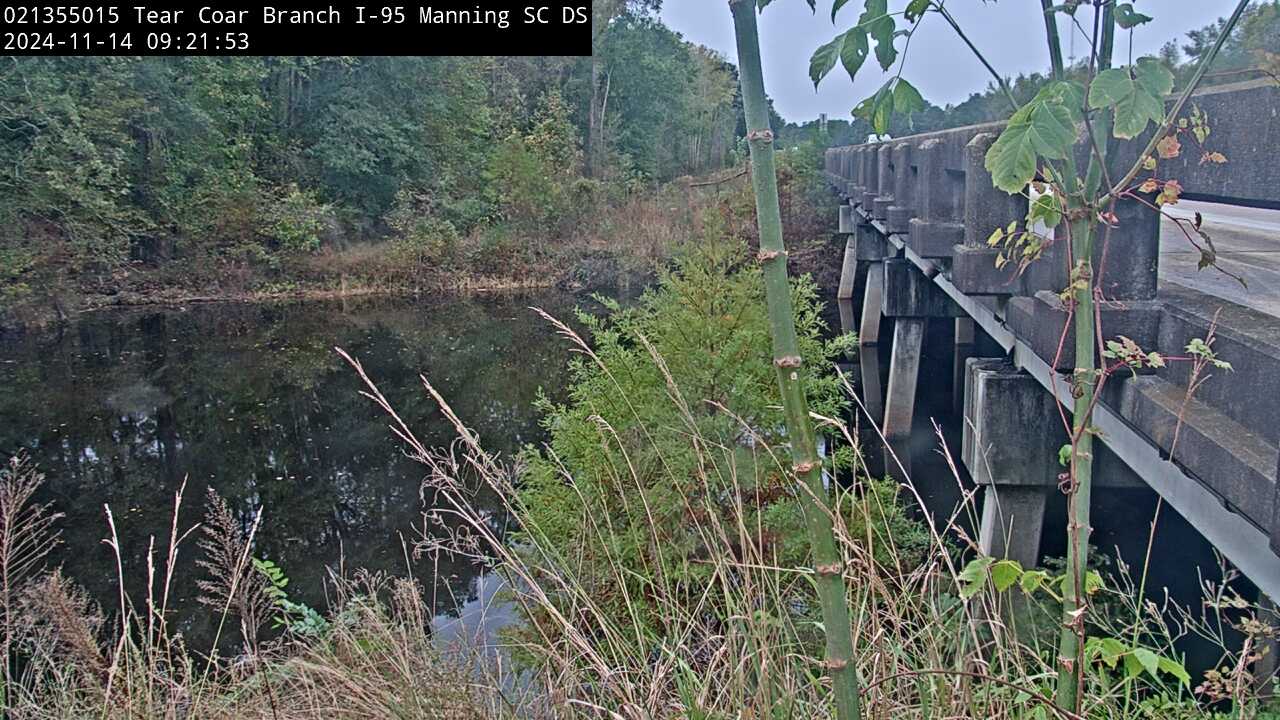 Live webcam video at Tearcoat Branch at I-95, near Manning, SC, Downstream