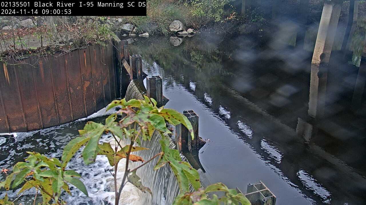 Live webcam video at Black River at I-95, near Manning, SC, Downstream