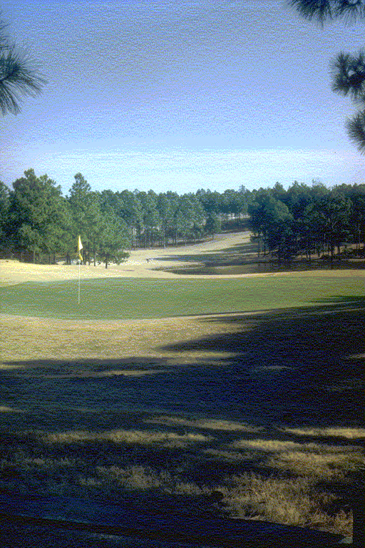 Picture of a golf course