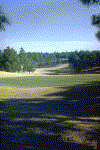 Golfcourse