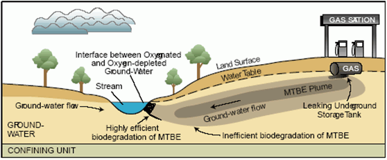 Diagram of conceptual model of significant MTBE biodegradation in the rather narrow hyporheic zone compared to extensive MTBE transport in the aquifer.